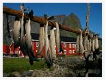 Drying fish at Reine * Lofoten  * 3680 x 2760 * (3.55MB)